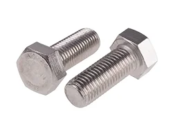 Stainless Steel Bolts